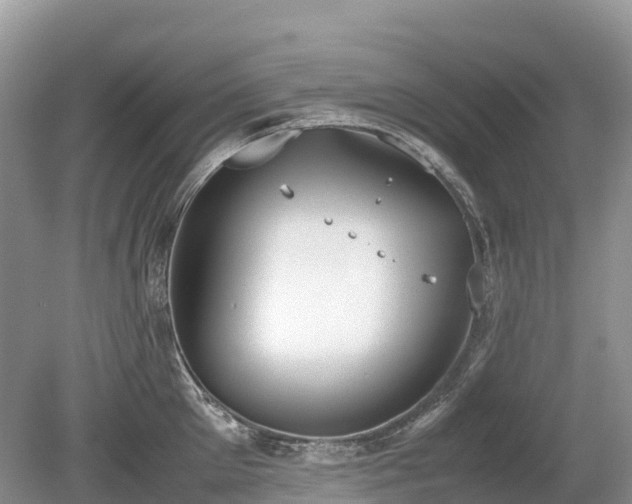 X0000080140905200612081253