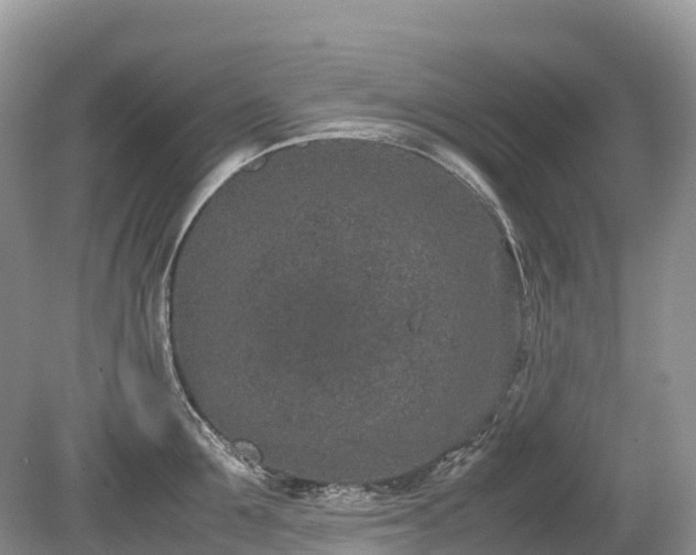 X0000080140907200612081253