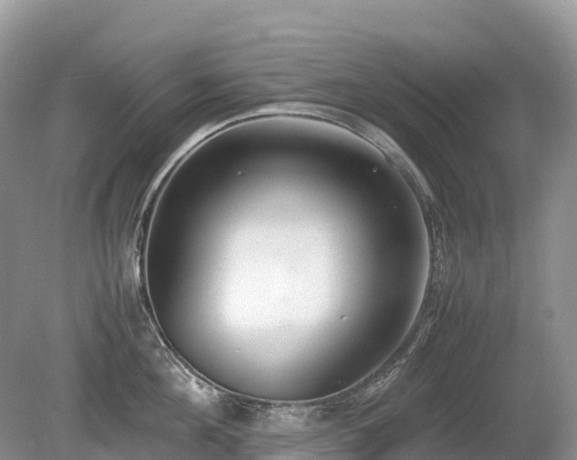 X0000080140908200612081253