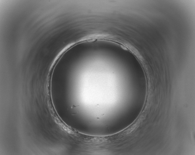 X0000080140912200612081252