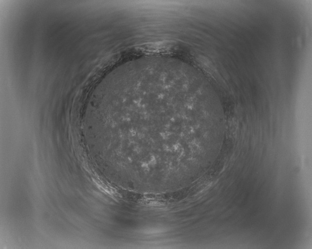 X0000080140913200612081252