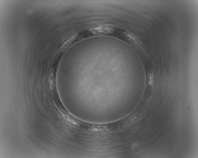 X0000080140915200612081252