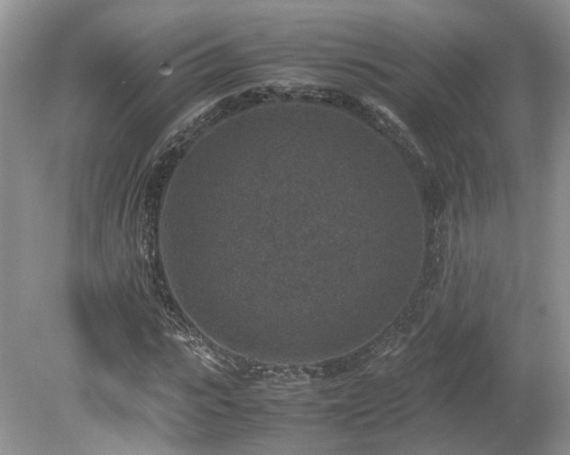 X0000080140919200612081252