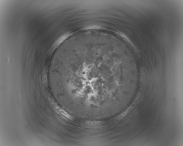 X0000080140921200612081252