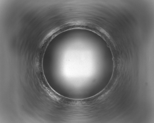 X0000080140922200612081252
