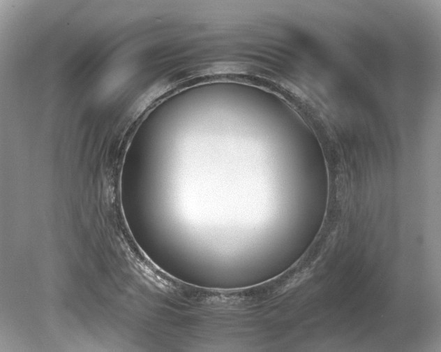 X0000080140929200612081252