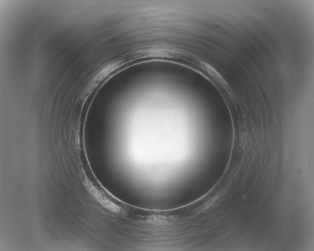 X0000080140938200612081252