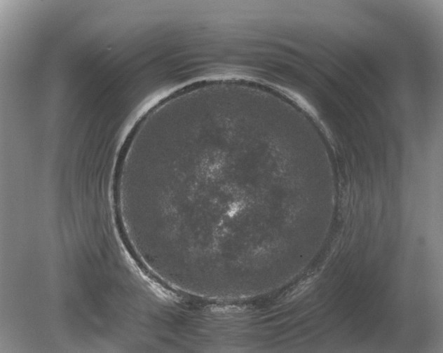 X0000080140943200612081252