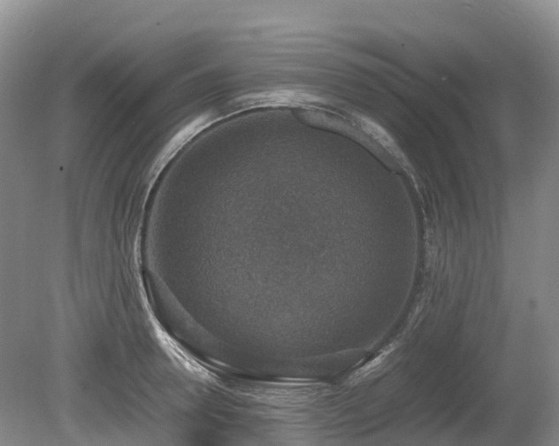 X0000080140946200612081252