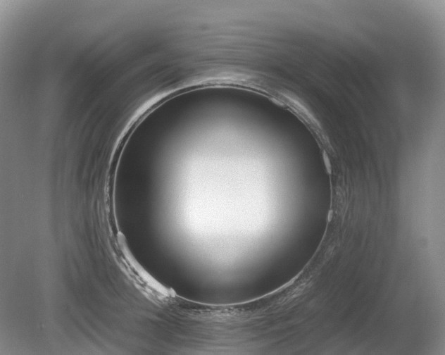 X0000080140948200612081252