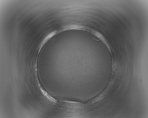 X0000080140954200612081252