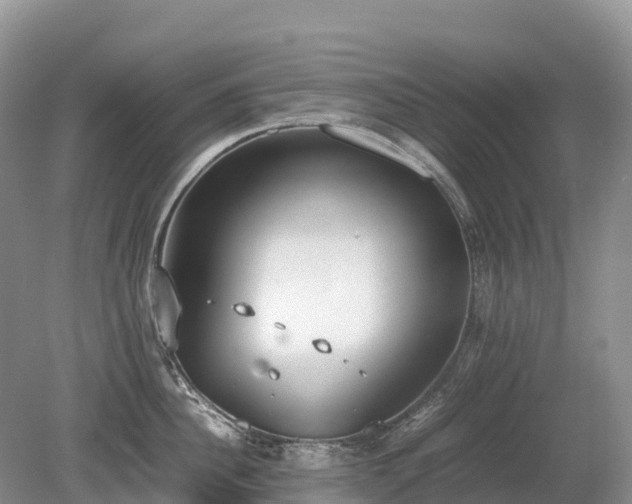 X0000080140956200612081252