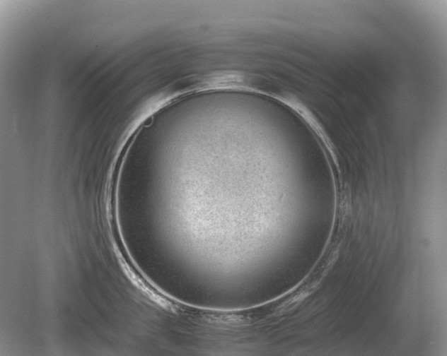 X0000080140957200612081252