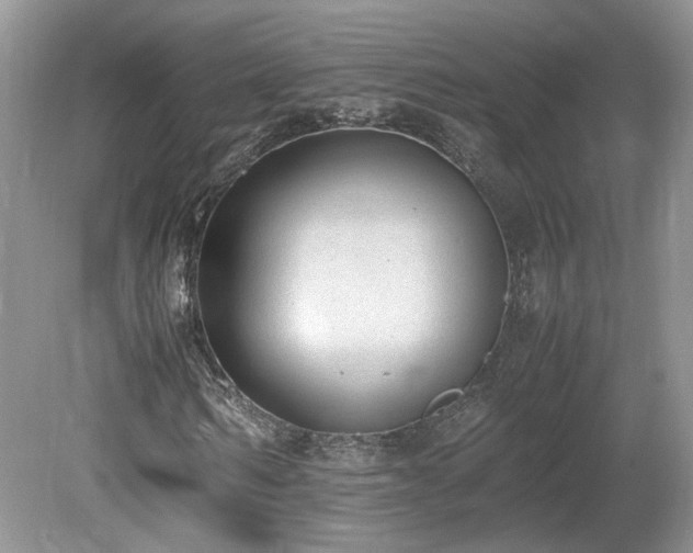 X0000080140962200612081252
