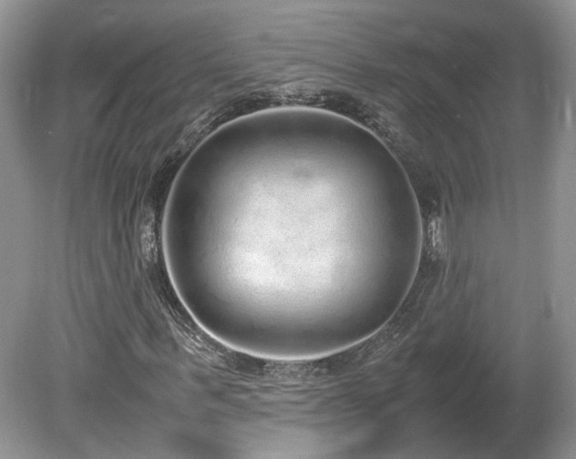 X0000080140963200612081252
