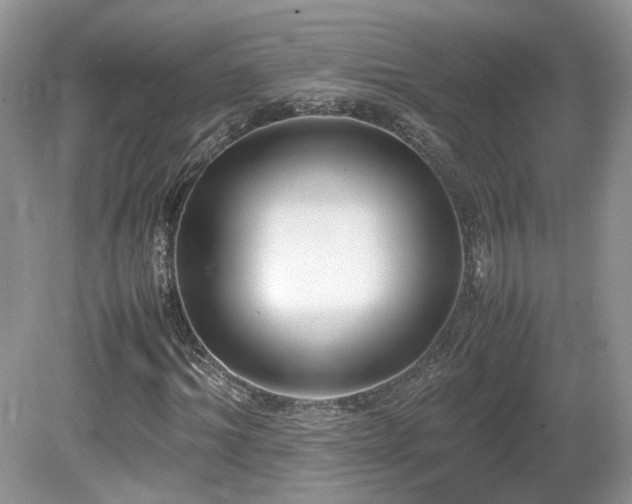 X0000080140964200612081252
