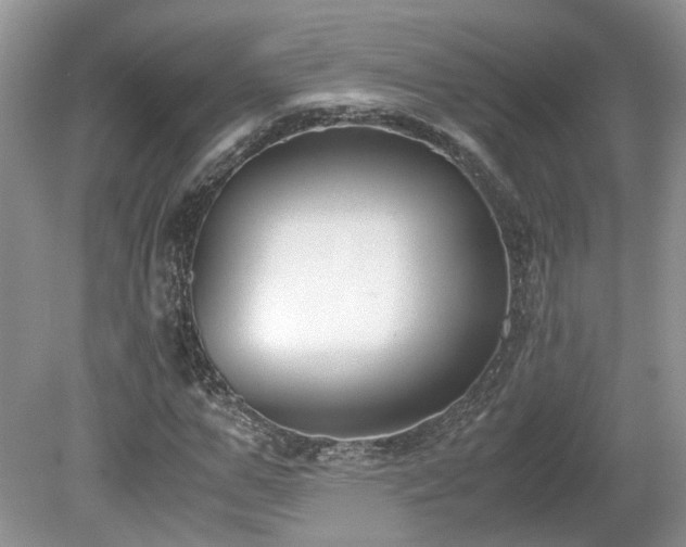 X0000080140967200612081252