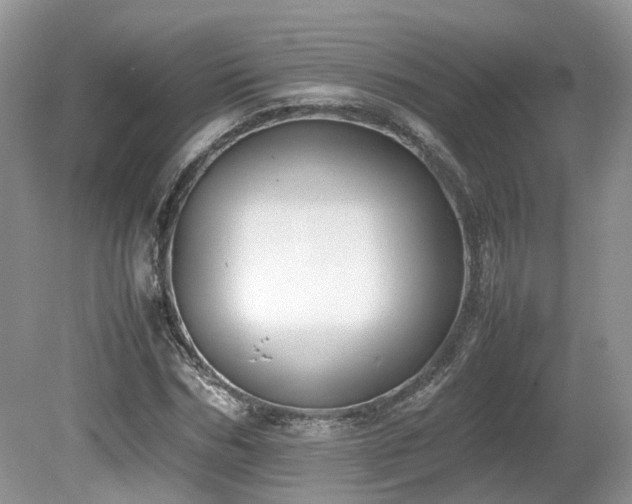 X0000080140970200612081251