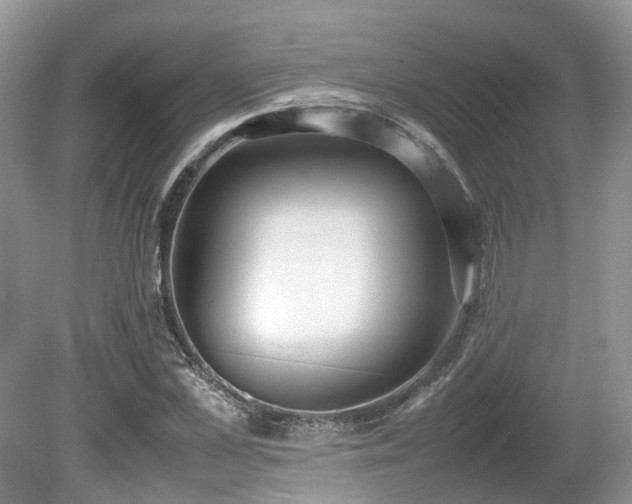 X0000080140973200612081251