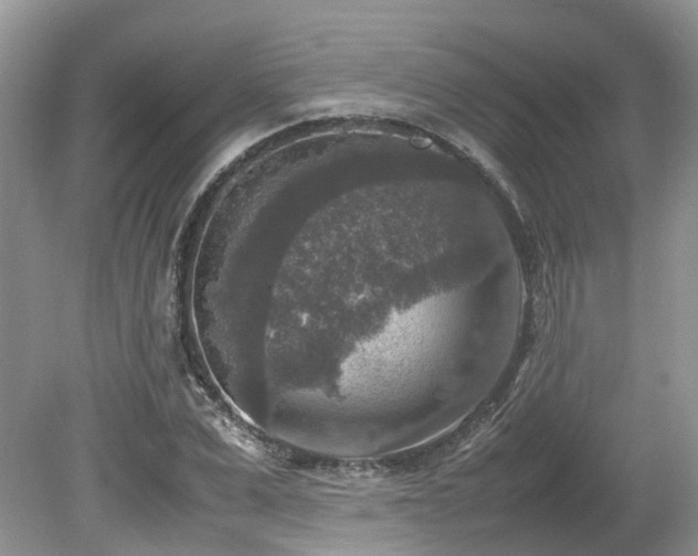 X0000080140975200612081251