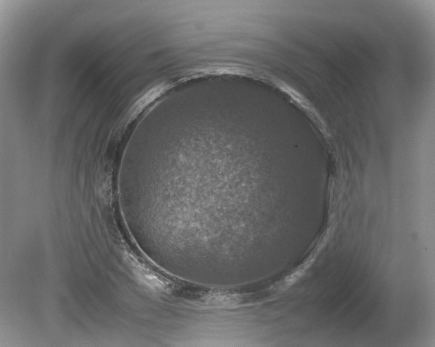 X0000080140977200612081251