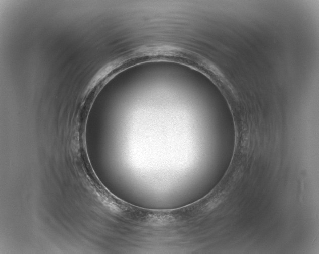 X0000080140978200612081251