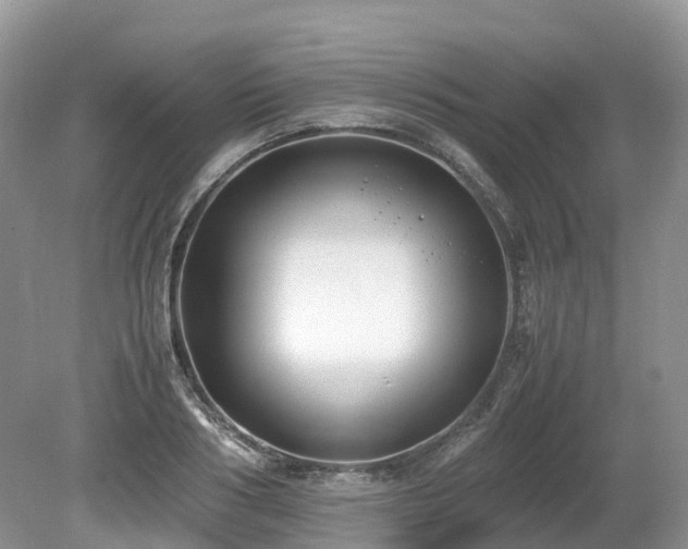 X0000080140986200612081251