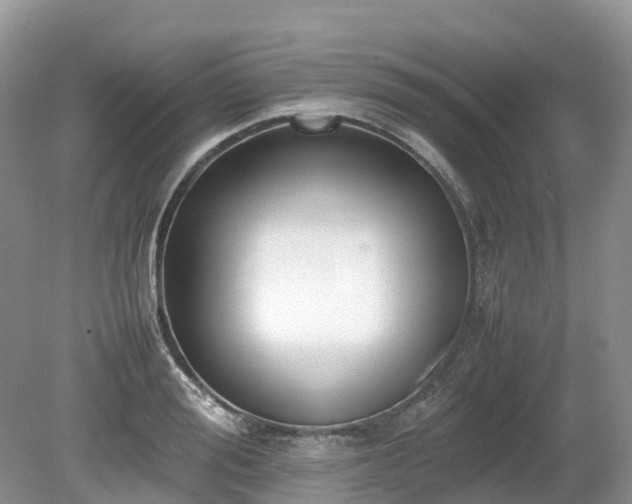 X0000080140988200612081251