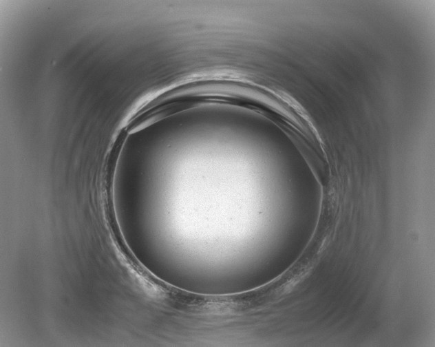 X0000080140989200612081251