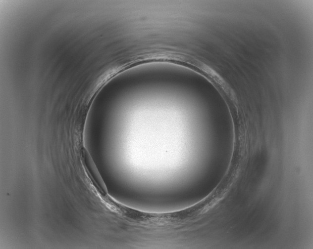 X0000080140993200612081251