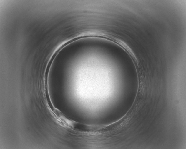 X0000080140996200612081251