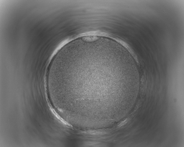 X0000080140998200612081251