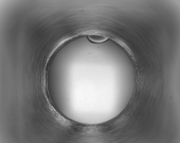 X0000080141000200612081251