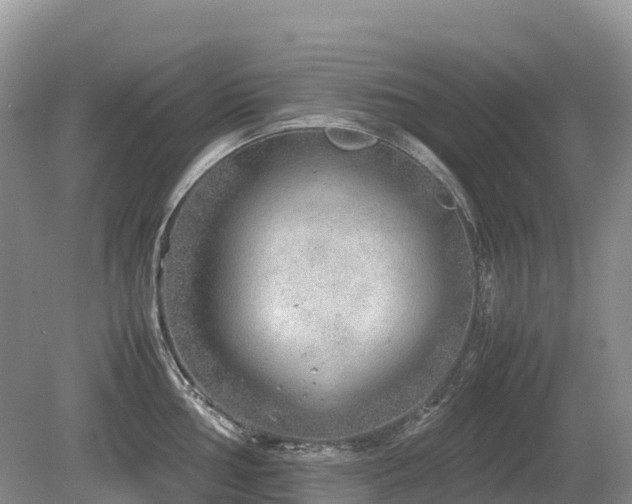 X0000080141002200612081251