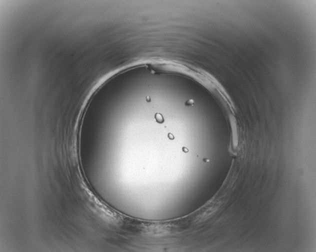 X0000080141004200612081251
