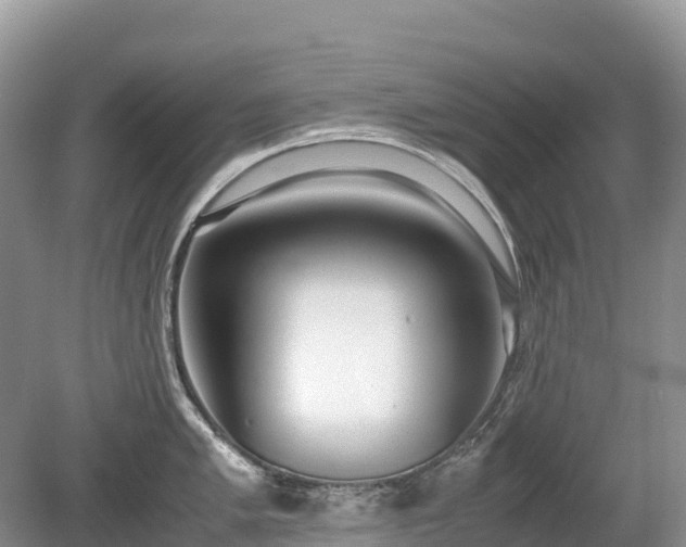 X0000080141005200612081251