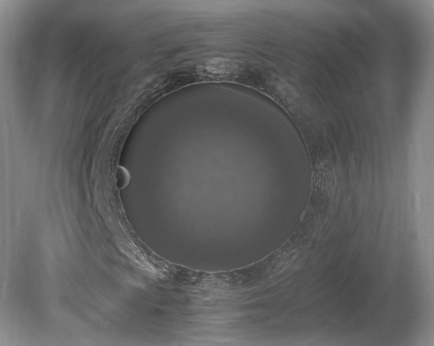 X0000080141009200612081250