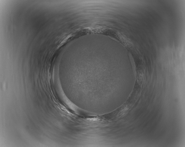 X0000080141010200612081250