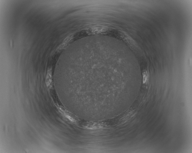 X0000080141011200612081250