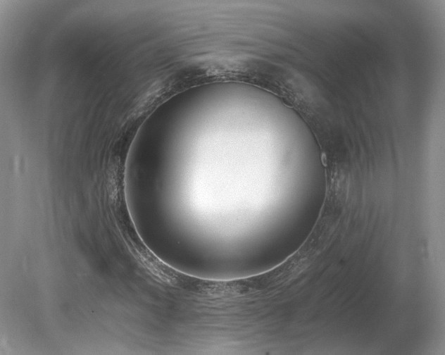 X0000080141012200612081250