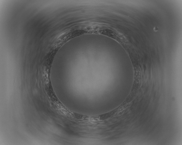 X0000080141013200612081250