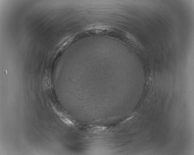 X0000080141014200612081250