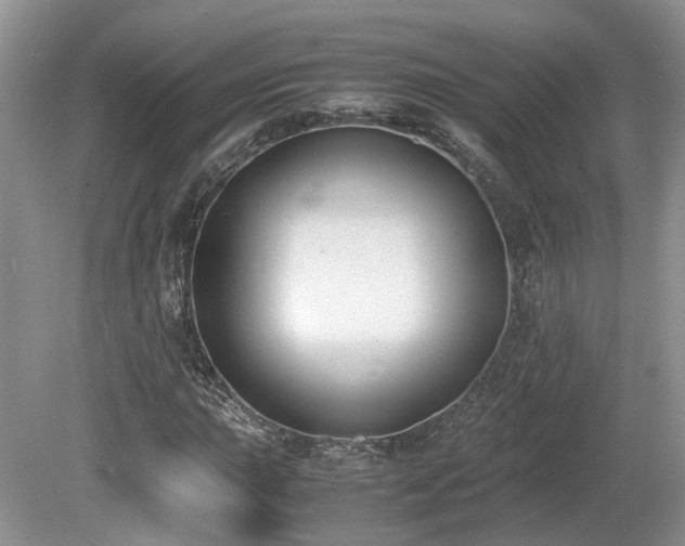 X0000080141015200612081250