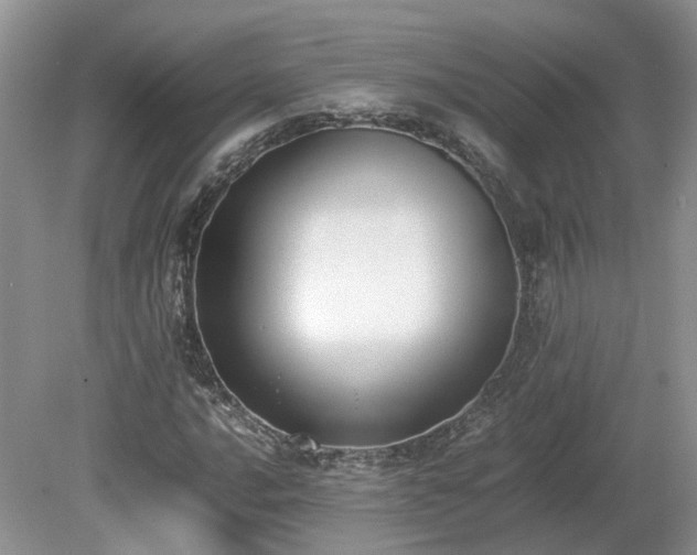 X0000080141016200612081250