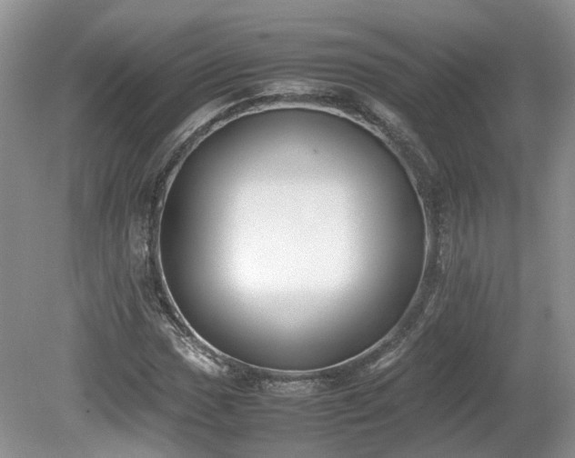 X0000080141017200612081250
