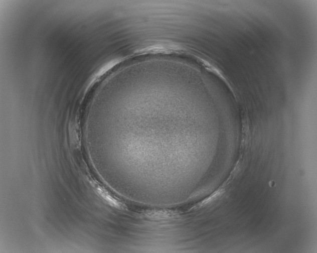X0000080141018200612081250