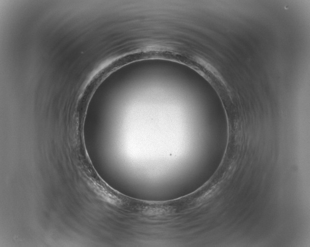 X0000080141021200612081250
