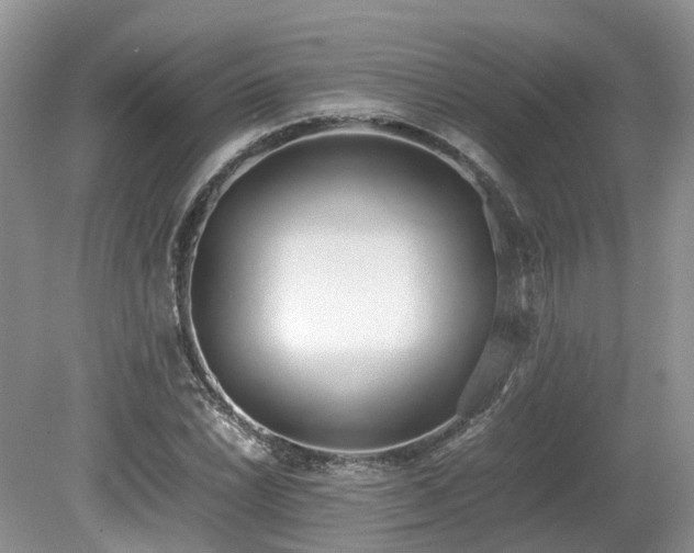 X0000080141022200612081250