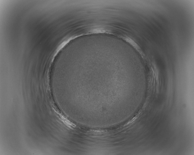 X0000080141023200612081250