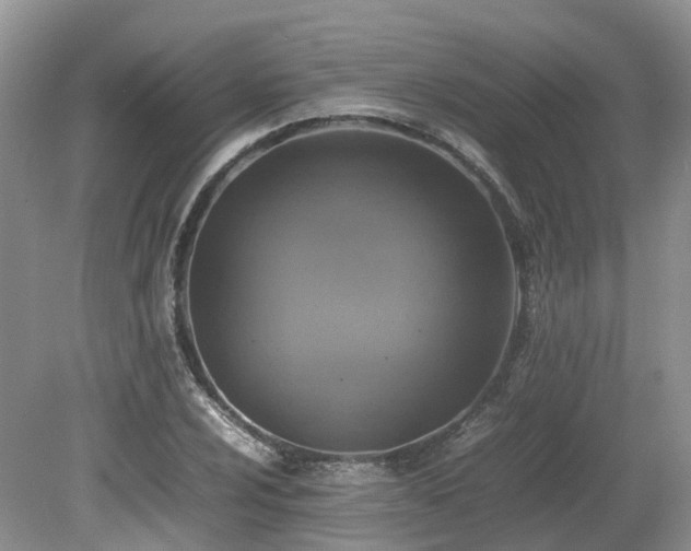 X0000080141024200612081250